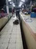 ล้างท่อล่องน้ำในตลาดสด