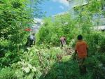 ร่วมกันตัดกิ่งไม้ และพัฒนา    บริเวณหน่วยบริการประชาชน (สถาน
