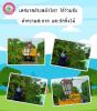 พัฒนา และตัดแต่งกิ่งไม้ บริเวณ ชุมชนทะเลหลวง หมู่ที่ 7