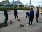 ฝึกเตรียมความพร้อม งานป้องกันและบรรเทาสาธารณภัย