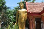 ร่วมกับจิตอาสาพัฒนาวัดหัวไทร